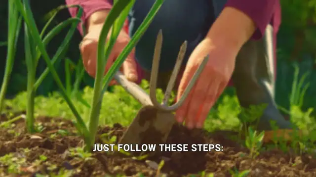 Video thumbnail for How to grow scallions