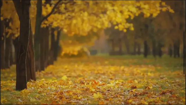 'Video thumbnail for Schönes Herbstgedicht'