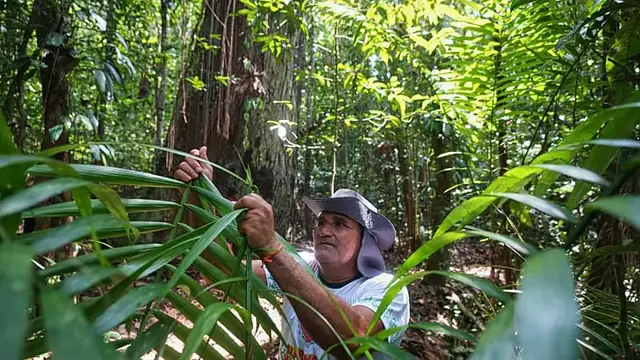 Video thumbnail for Communities of slave descendants in Brazil demand recognition of territories and livelihood