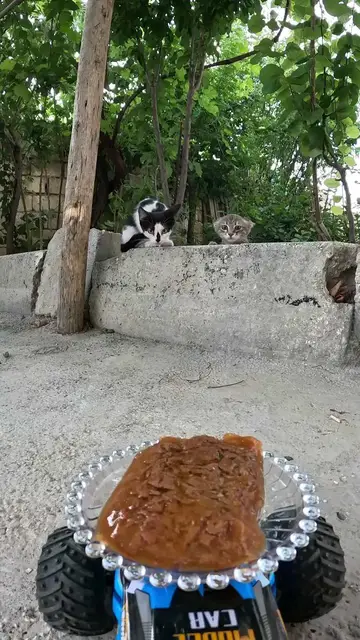 Video thumbnail for Remote Control Car Delivers Dinner to Curious Kittens