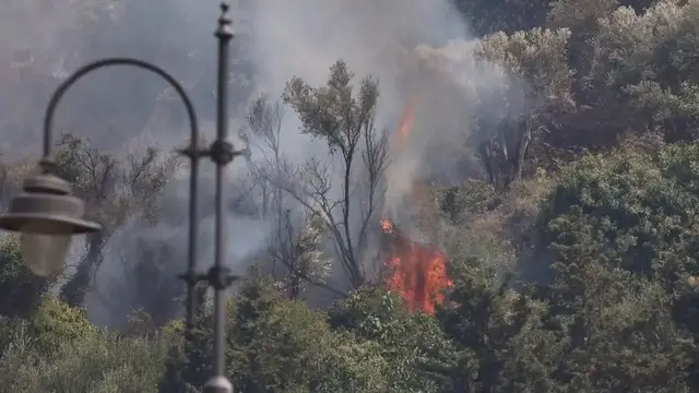 Video thumbnail for Italy: Firefighters battle wildfire near Italy's Palermo.