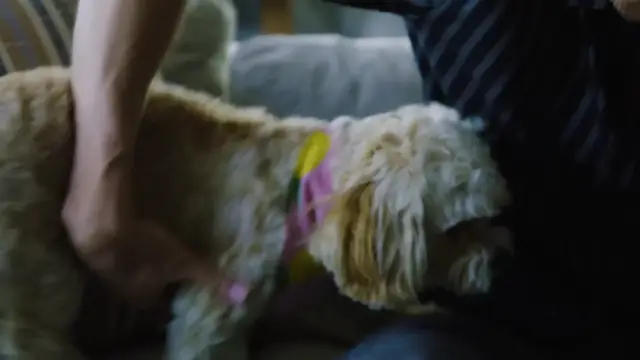'Video thumbnail for Hunter Pence Talks World Series Rings & Shows Off His GENIUS Dog!'