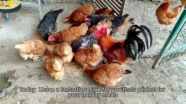 Video thumbnail for cornish hen recipe