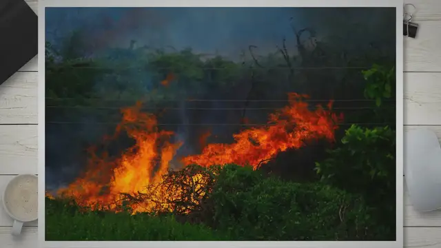 Video thumbnail for The Causes of Wildfires: Unveiling the Complexities