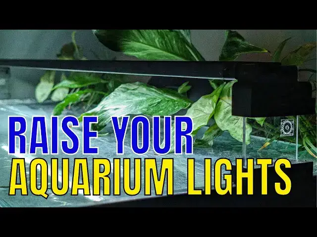 Video thumbnail for Riser for Fluval Aquasky 2.0 Light Unboxing & First Impressions. Raise Up Your Tank Lights!