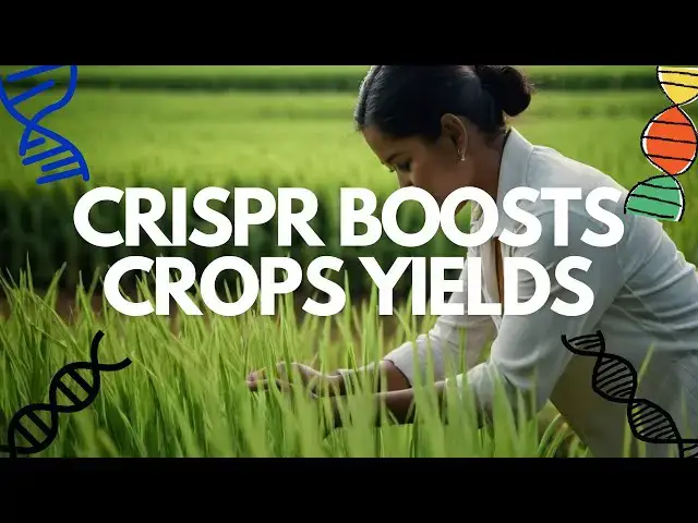 Video thumbnail for Gene Editing Breakthrough: New Technique Boosts Crop Photosynthesis