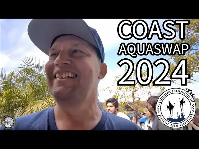 Video thumbnail for Fin-tastic Finds! Exploring the Coast Fish Club AquaSwap