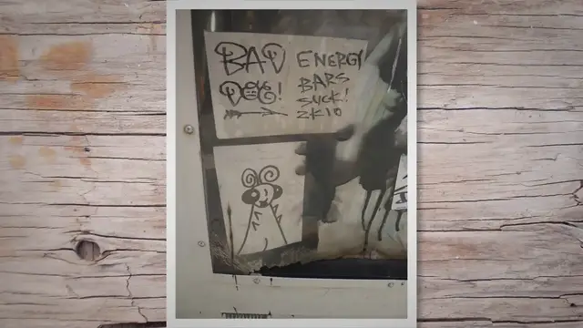 Video thumbnail for Cracking the Canine Diet: Unveiling the Truth About Dogs and Ants