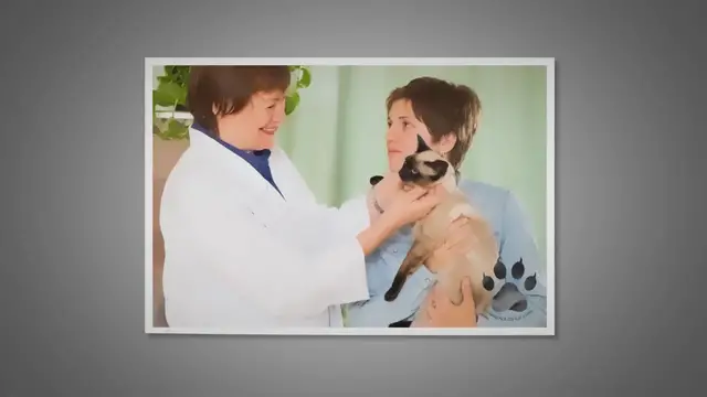 Video thumbnail for When To Seek Emergency Medical Care For Your Siamese Cat