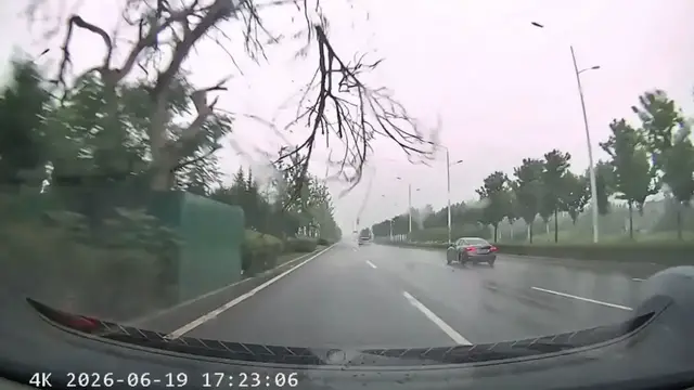 Video thumbnail for Tree Branch Smashes Windshield in Rainy Anhui Drive