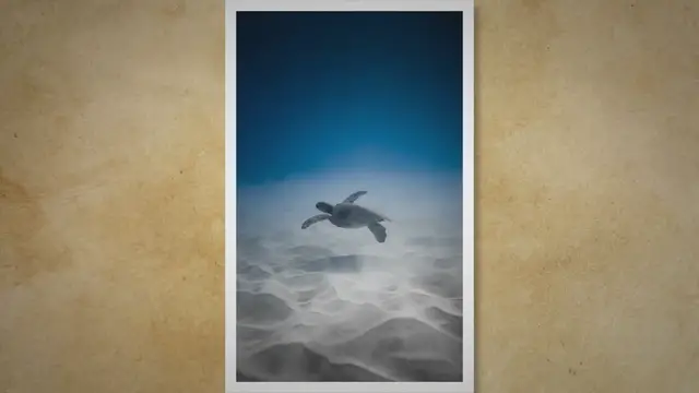 Video thumbnail for Leopard Gecko Substrate Options: A Comprehensive Guide