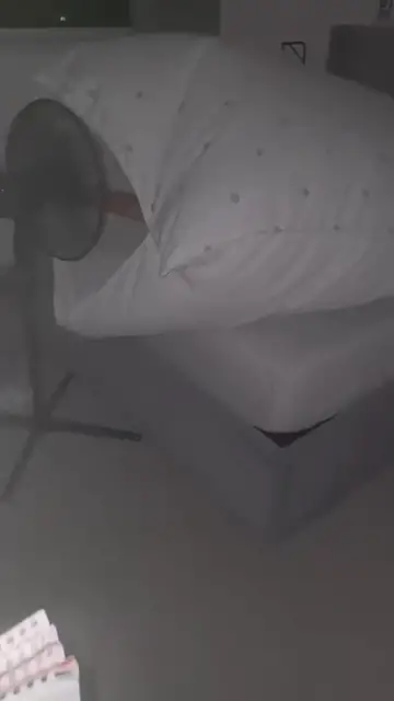 Video thumbnail for Heatwave Survival with a Duvet Fort and Floor Fan
