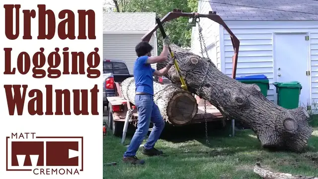 Video thumbnail for Picking Up a Walnut Tree - Urban Logging