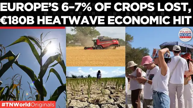 Video thumbnail for EXPLAINED: How Europe's Heatwaves Are Causing €180 Billion in Economic Damage | Times Now World