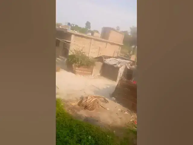 Video thumbnail for My Village Life 🧬 Us Jaibu Ae Maina Dinesh Lal Yadav Amrapali Dubey BEST STATUS #shortvideo