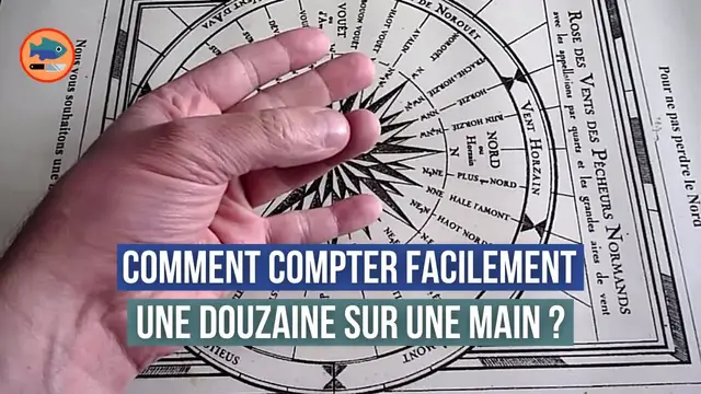 Video thumbnail for Comment compter une douzaine sur une main ?
