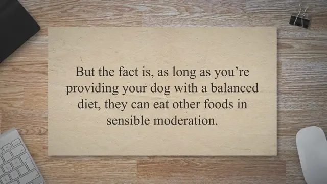 Video thumbnail for Can a dog eat cream of chicken soup?