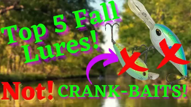 'Video thumbnail for Top 5 Best Lures For Fall 2022 That Aren't Crank Baits! Throw Something New and See What Happens!'