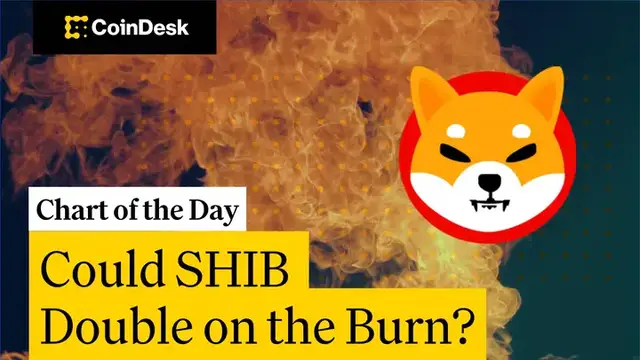 'Video thumbnail for What SHIB's Exploding Burn Rate Means for Its Price'