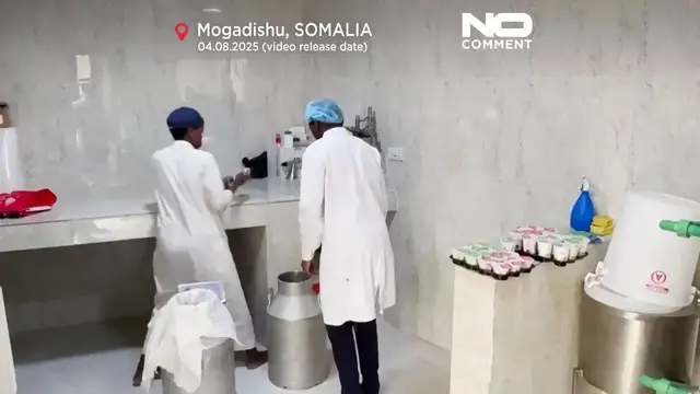 'Video thumbnail for Camel dairies signal change in Somalia’s livestock economy'