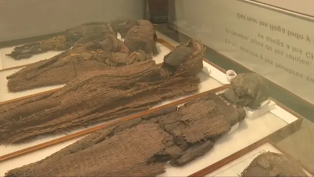 'Video thumbnail for Ancient Chinchorro mummies reveal secrets of survival in Chile’s Atacama Desert'