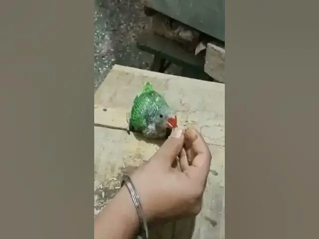 Video thumbnail for like comments subscribe