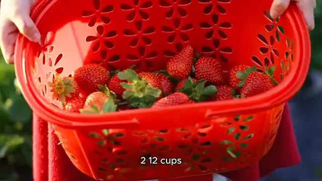 Video thumbnail for Raspberry Pie Pecipe