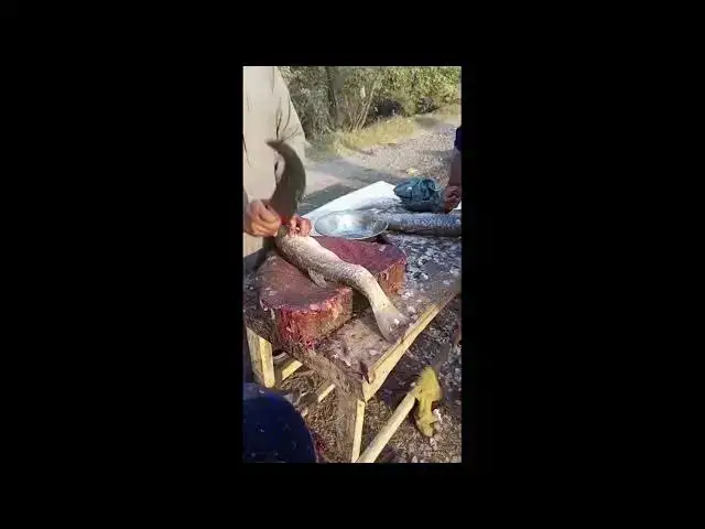 Video thumbnail for Fresh Fish Cutting Technique #fishing #fish #youtubeshorts