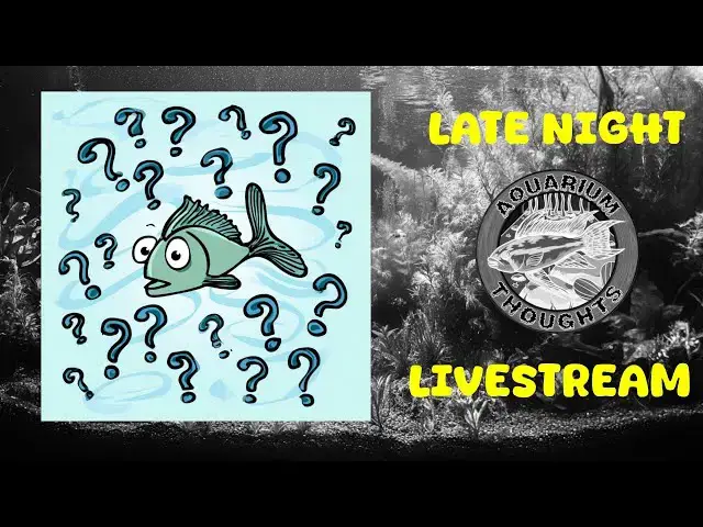 Video thumbnail for Guess That Fish - May 08, 2025 -  Late Night Aquarium Thoughts