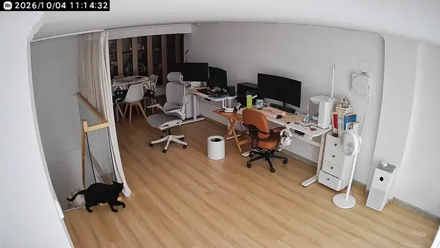 Video thumbnail for Two Cats Fight in Computer Room While Another Watches