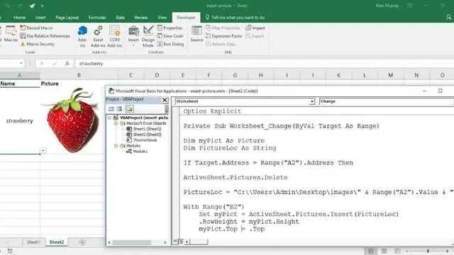 'Video thumbnail for Excel VBA: Insert Picture from Directory on Cell Value Change'