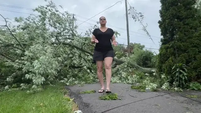 Video thumbnail for Cleanup effort underway across CT in wake of overnight summer storm