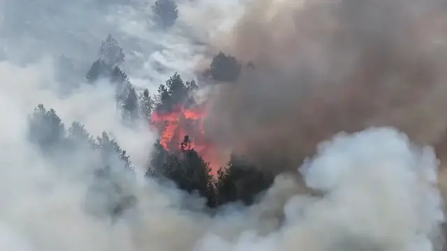 Video thumbnail for US: Wildfire breaks out in northern England as record UK heat wave fuels fire risk.