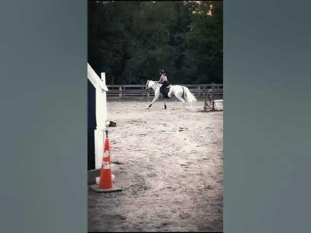 Video thumbnail for AND JUST LIKE THAT OUR JOURNEY HAS BEGAN #whitemagicmysterybolero