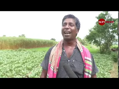 'Video thumbnail for এক কৃষকের সবজি নিয়ে অসাধারণ গান | Meherpur TV'