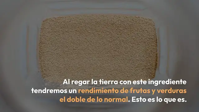 Video thumbnail for Naranja y café, la combinación que no esperas: quedarás satisfecho con el resultado