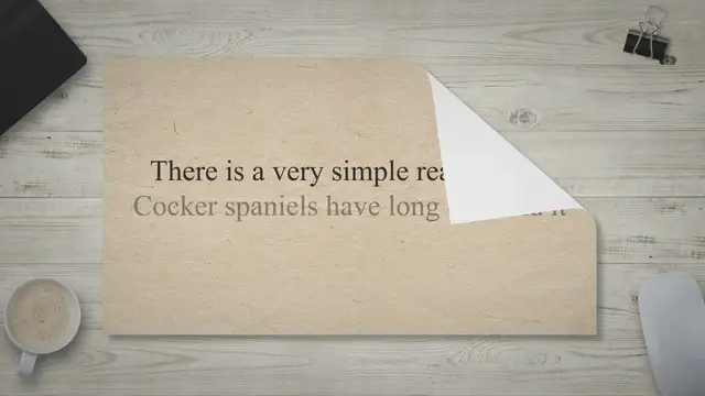 Video thumbnail for Why do Cocker spaniels have long ears?