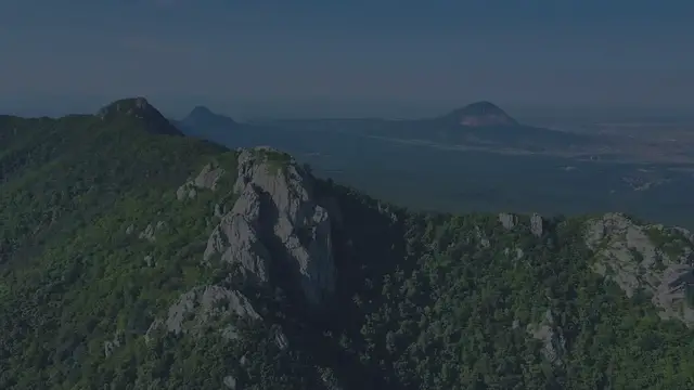 Video thumbnail for Creeping Juniper