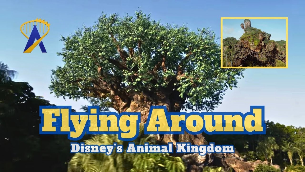 Video thumbnail for Disney's Animal Kingdom - Views From The Sky