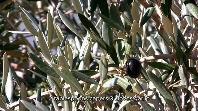 Video thumbnail for Olive Tapenade recipe