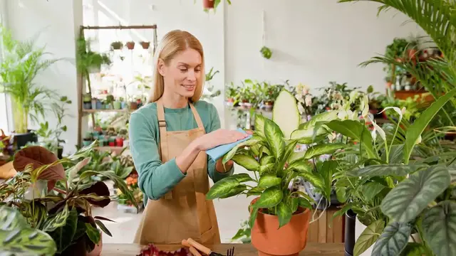 Video thumbnail for Hanging Plants Without Sunlight