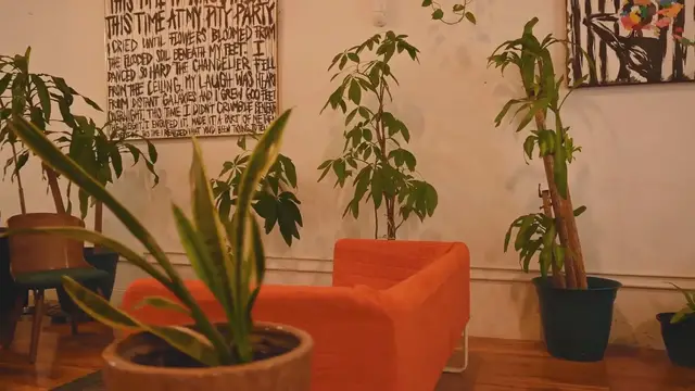 'Video thumbnail for Utilizing Corner Spaces With Plants: A Complete Guide'