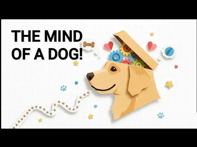 Video thumbnail for The Mind of A Dog: What is Hiding in There?