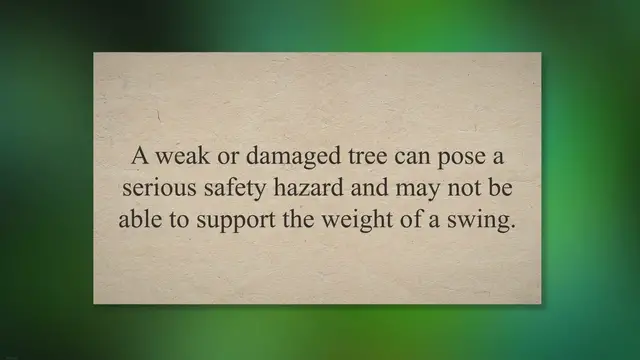 Video thumbnail for Swinging Safely: Assessing, Installing, and Maintaining a Swing on Your Tree