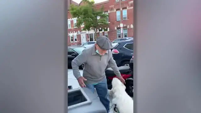 Video thumbnail for Dog Reunites With Beloved Neighbor After Two Months | Happily TV