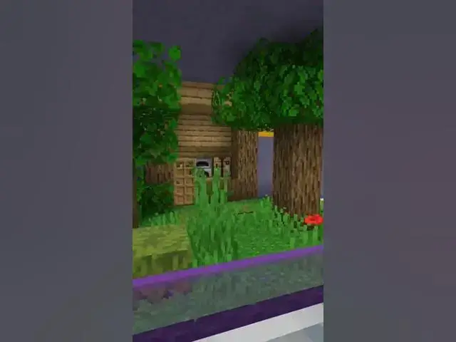 'Video thumbnail for Minecraft speed run world record #herobrine #minecraft #minecraftanimation #minecraftmemes #memes'
