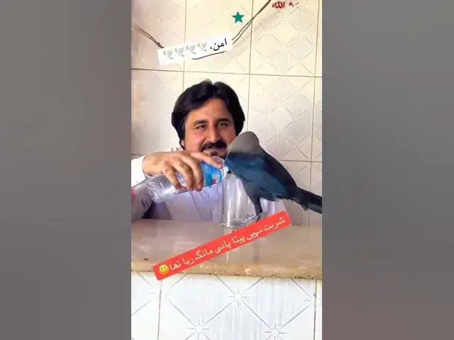 Video thumbnail for *ہمدردی وُہ عالمگیر زبان ہے جسے پرندے بھی سمجھتے ہیں 🖤 #hindi