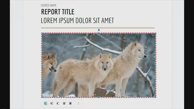 'Video thumbnail for How to Add Borders to an Image on Google Docs - Vegadocs'