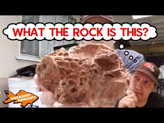 Video thumbnail for My second #MyAquariumBox (Freshwater) Unboxing