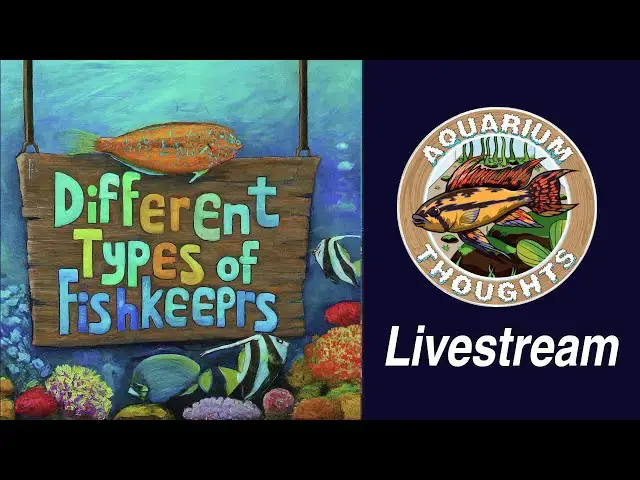 Video thumbnail for Fishkeeping Styles: Exploring the Quirks & Personalities of Fishkeepers - April 7, 2024